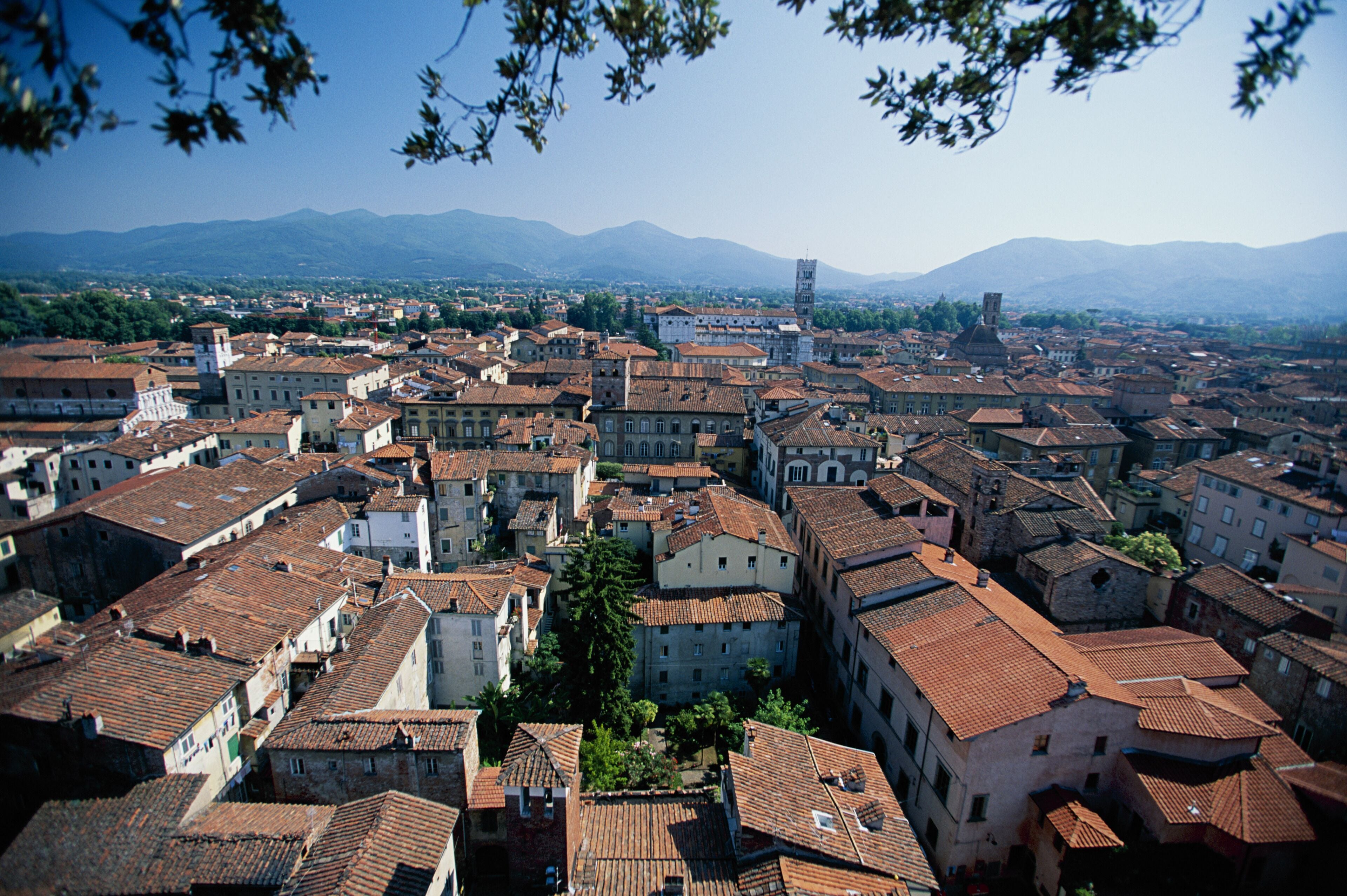 Vista dei tetti rossi di Lucca con le colline toscane sullo sfondo